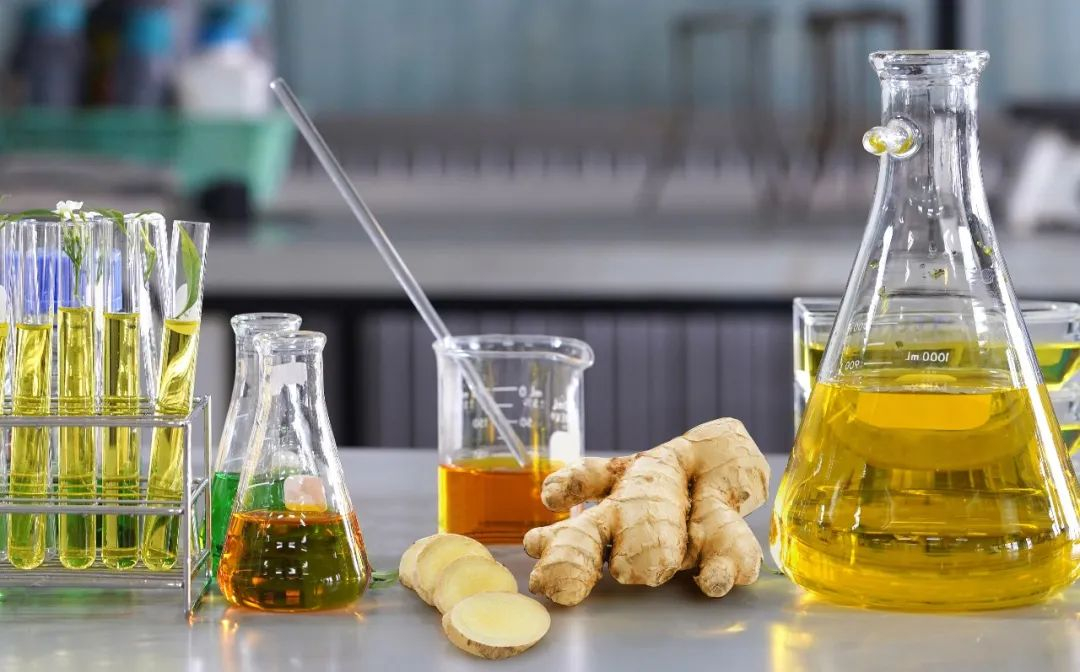 棟方股份榮獲2021年廣東省科技進步獎，科研創新實力再獲認可！