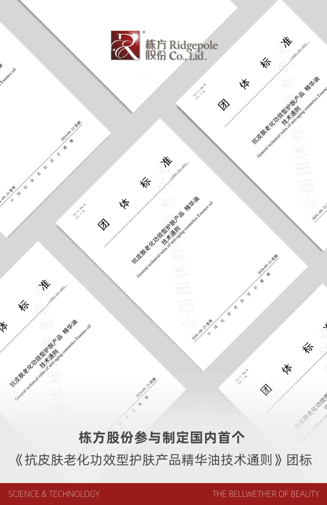 標準引領丨國內首個《抗皮膚老化功效型護膚產品精華油技術通則》團體標準正式發布